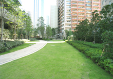 川崎市 武蔵小杉ウエストタワー