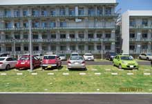 静岡市 某大学農学部