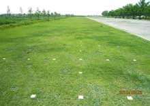 埼玉県 加須はなさき公園