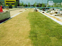 4. 目砂・仕上げ